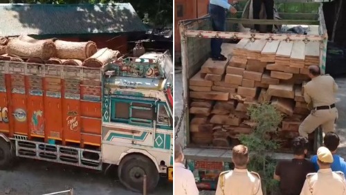 'Vehicle with smuggled Chinar timber seized in Sonamarg'